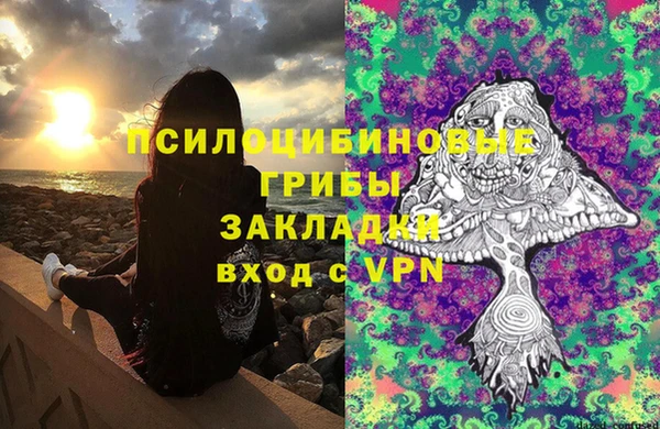 шишки Алексеевка