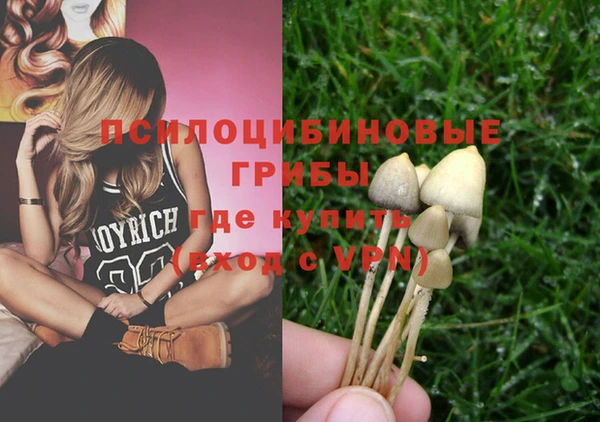спайс Абинск