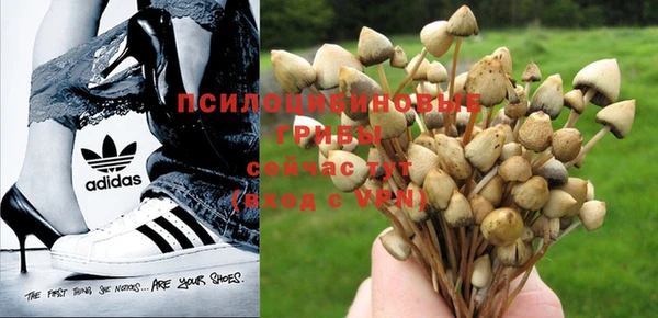 МДПВ Алексин