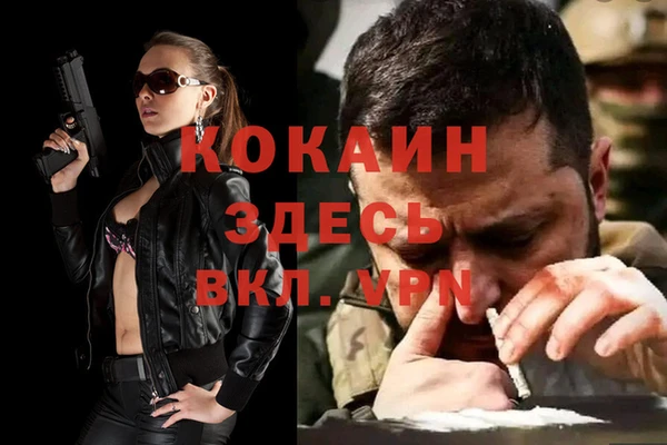 винт Абаза