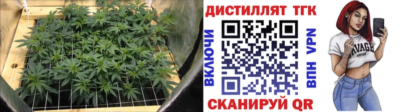 как найти закладки  Туран  ТГК жижа 