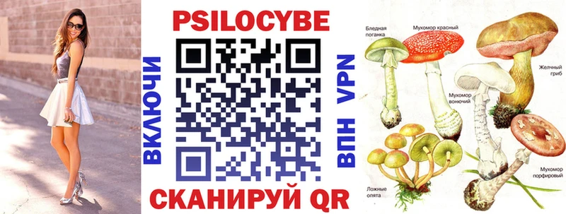 Галлюциногенные грибы Psilocybe  Туран 