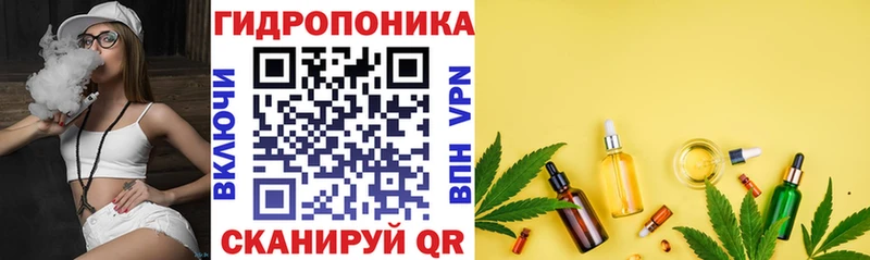 Бошки Шишки семена  Туран 